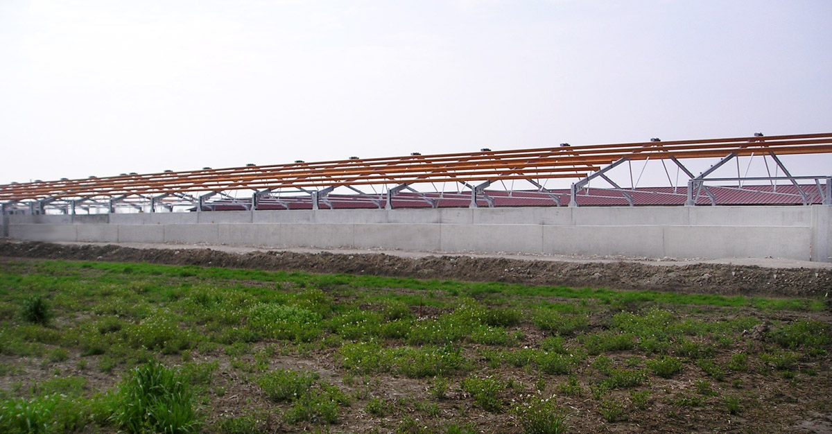 Struttura 6