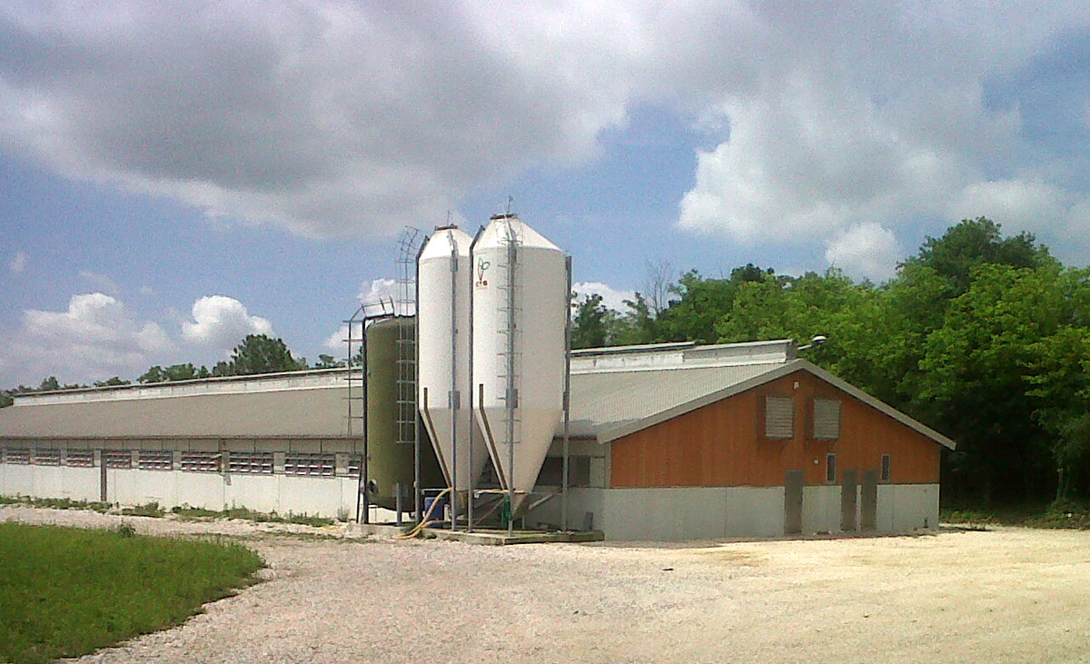 Struttura 3