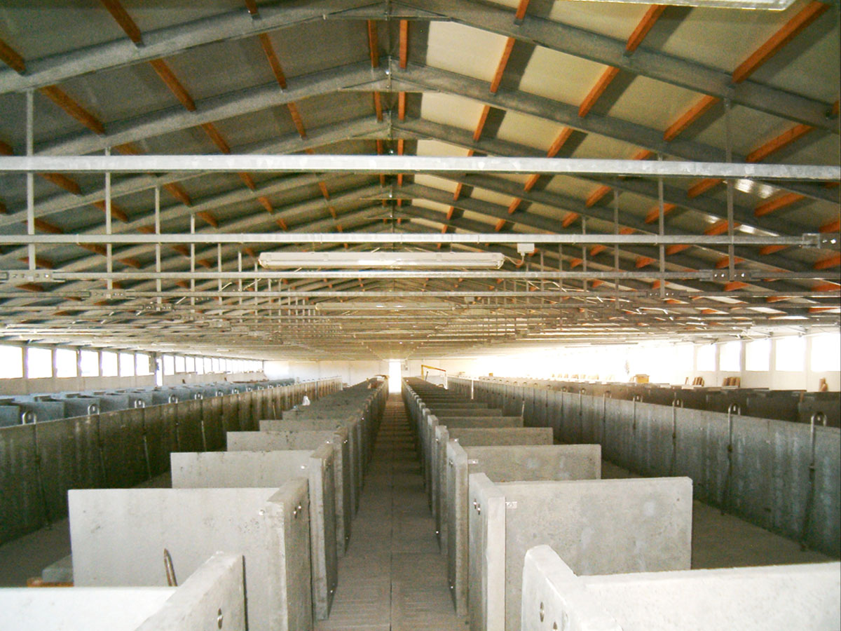 Struttura 11