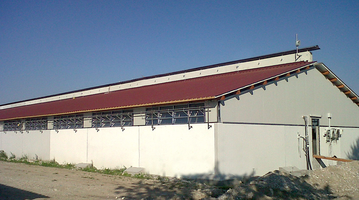 Struttura 15