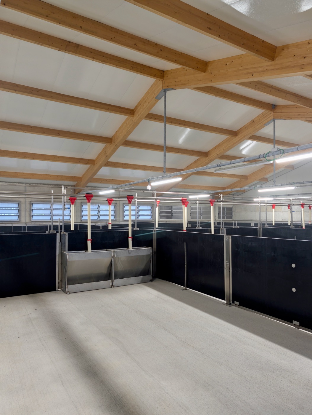 Progetto chiavi in mano 9