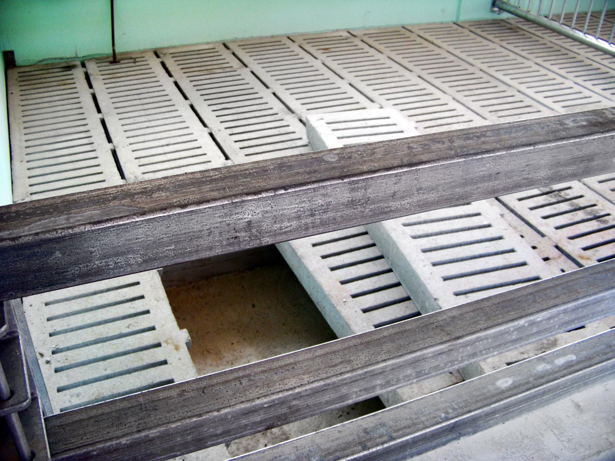 Vitelli carne bianca 23